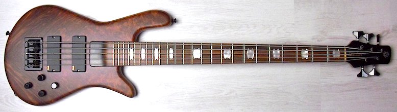 NS5-H2